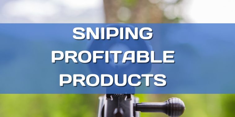 How to find profitable dropshipping products