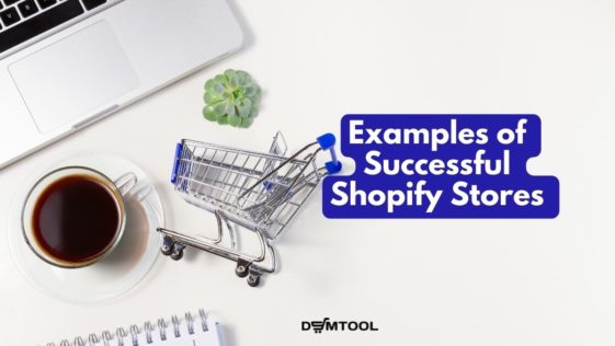 Shopify dropshipping stores