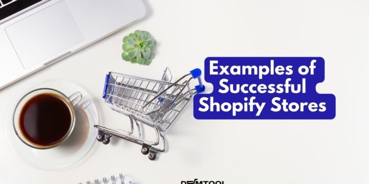 Shopify dropshipping stores